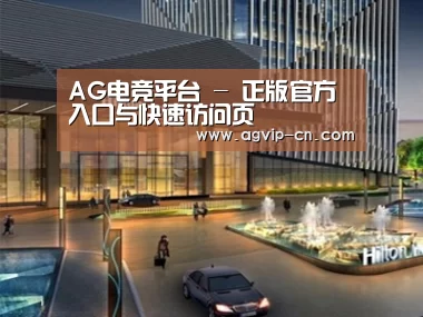 案例展示二
