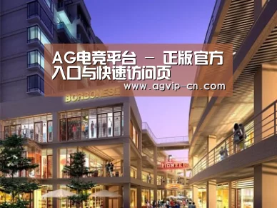 案例展示一